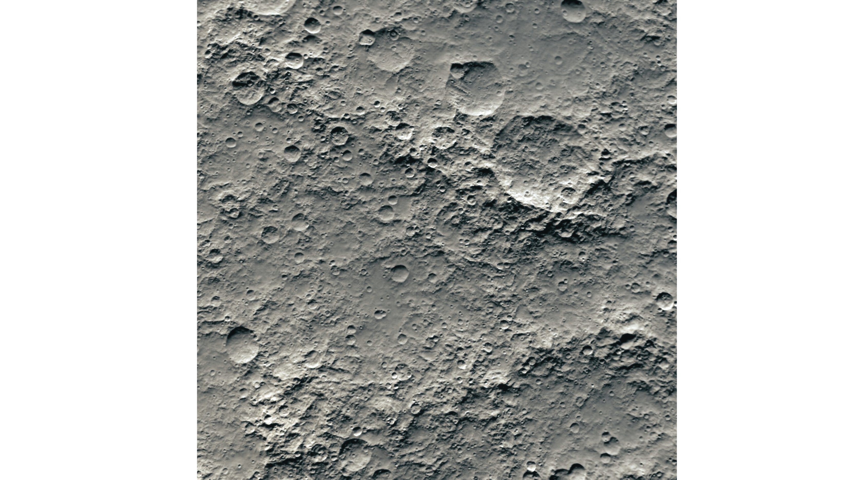 Moonlight Muse – Emerald Adams