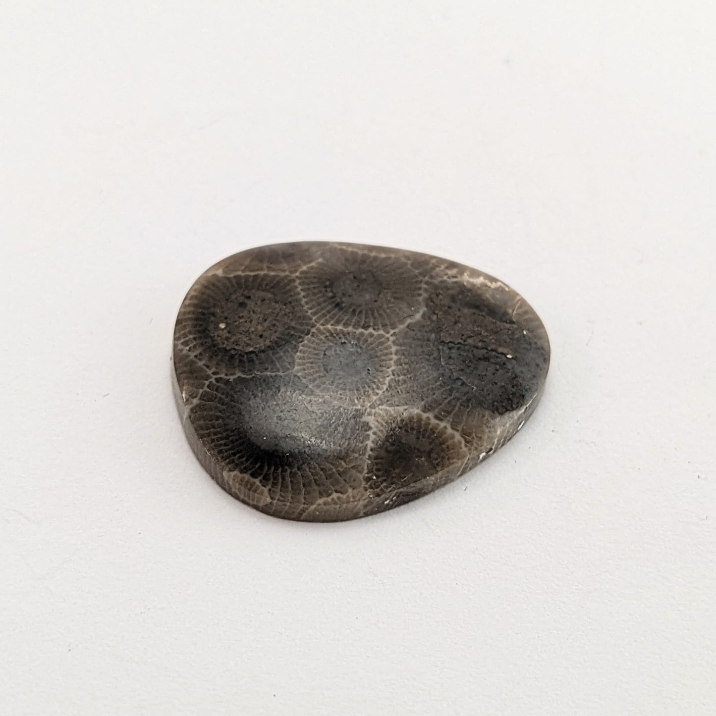 Petoskey Stone Freeform Cabochon #5