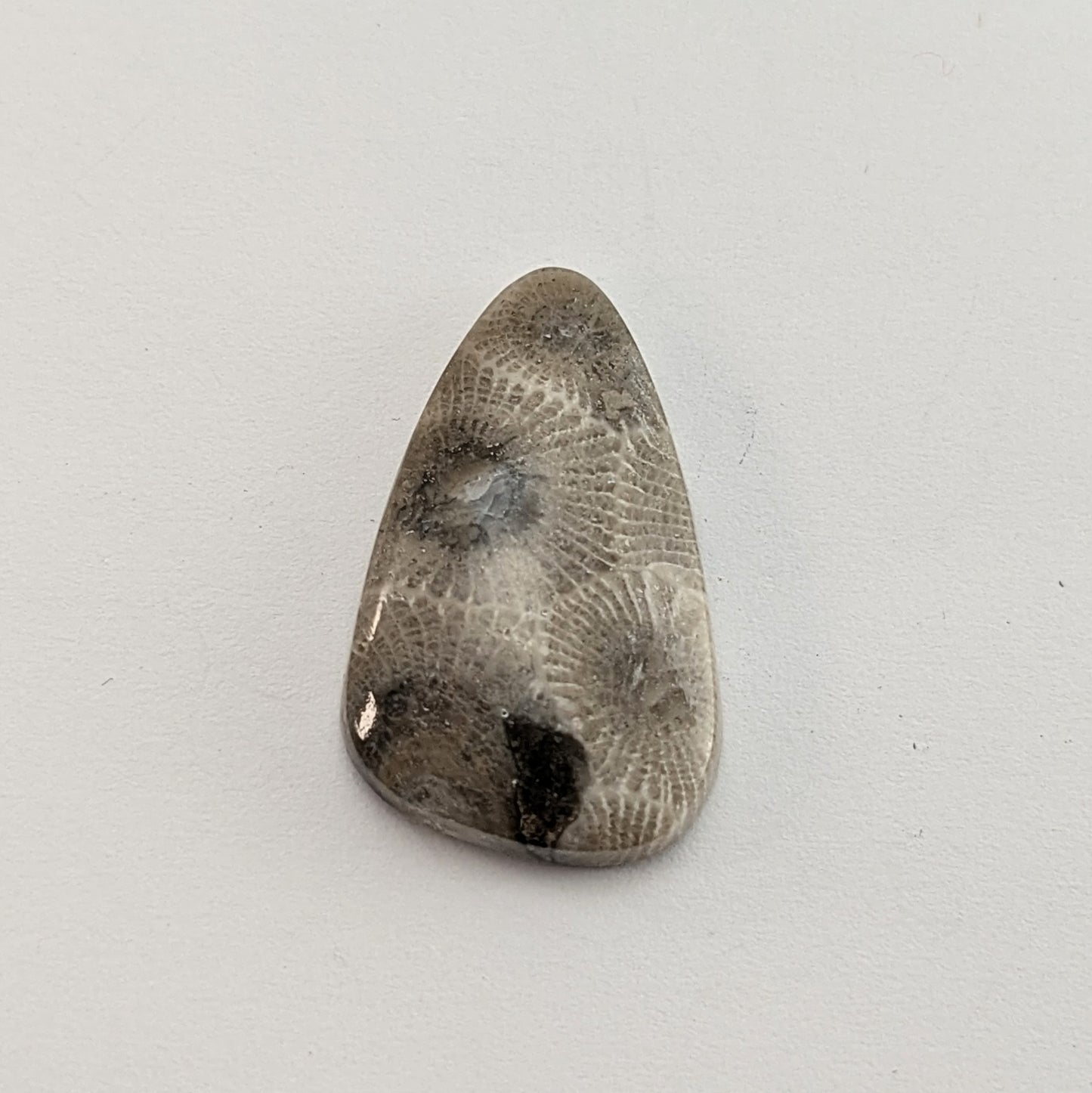 Petoskey Stone Freeform Cabochon #6