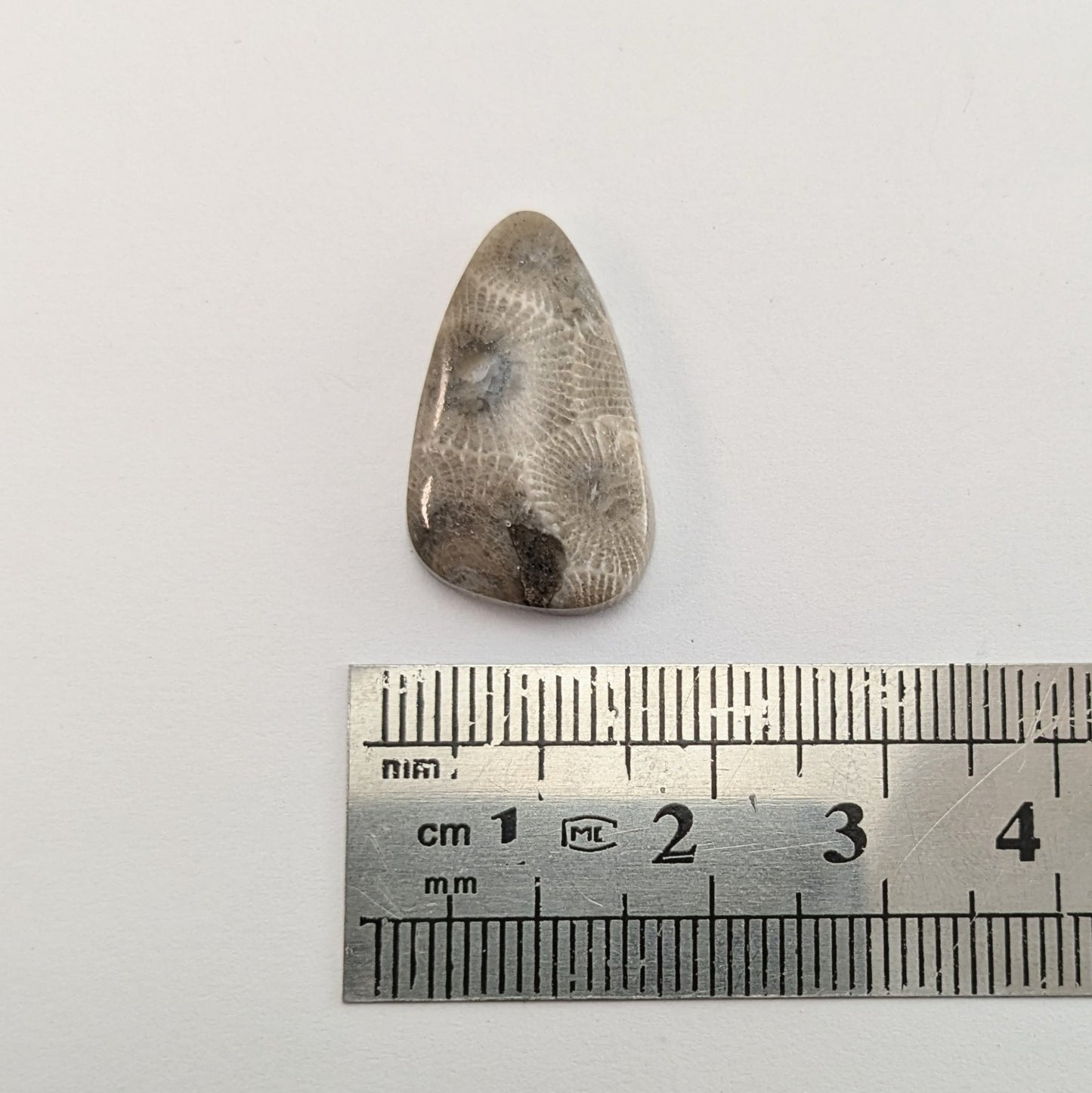 Petoskey Stone Freeform Cabochon #6