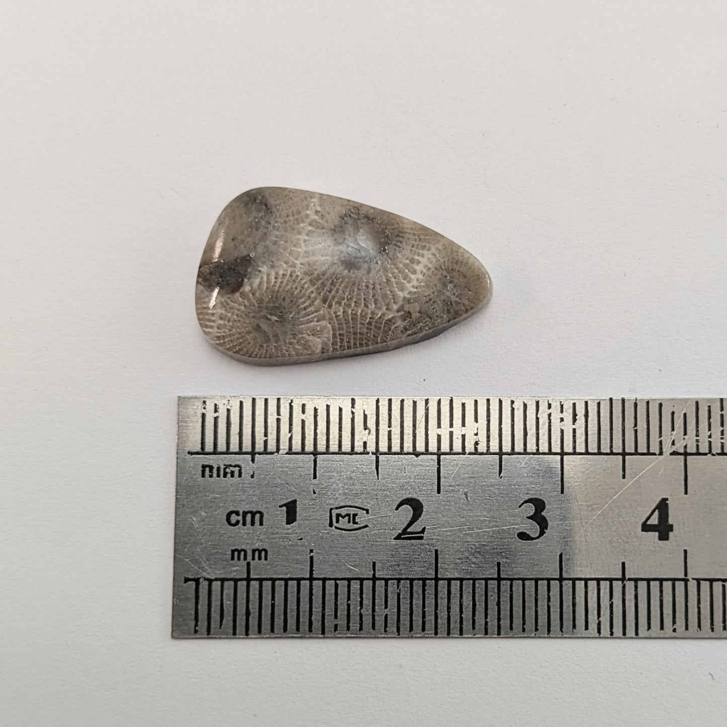 Petoskey Stone Freeform Cabochon #6