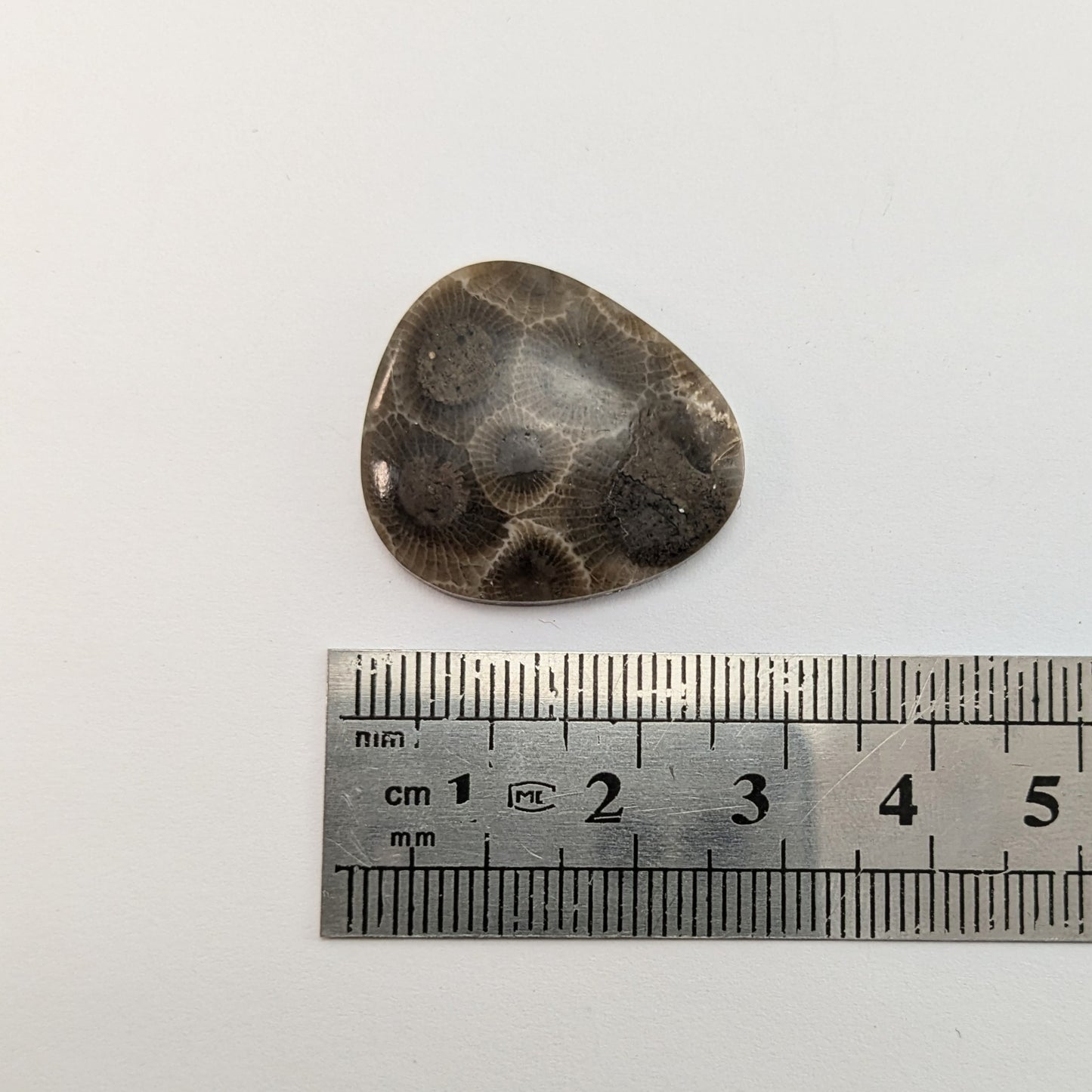 Petoskey Stone Freeform Cabochon #5
