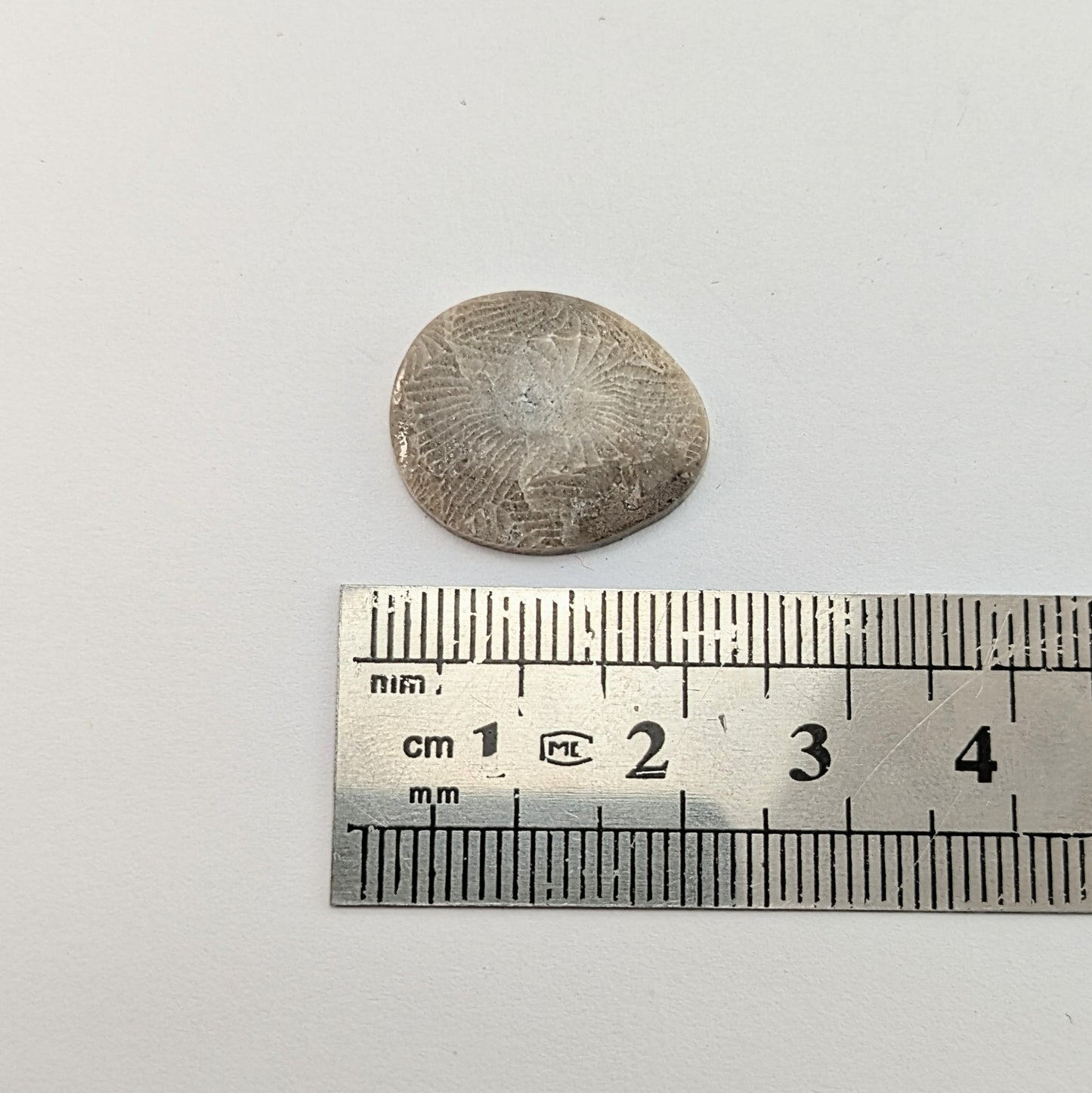 Petoskey Stone Freeform Cabochon #2