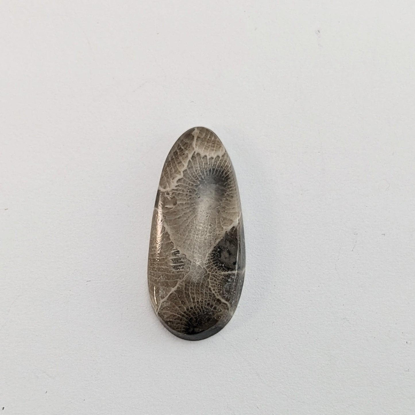 Petoskey Stone Freeform Cabochon #4