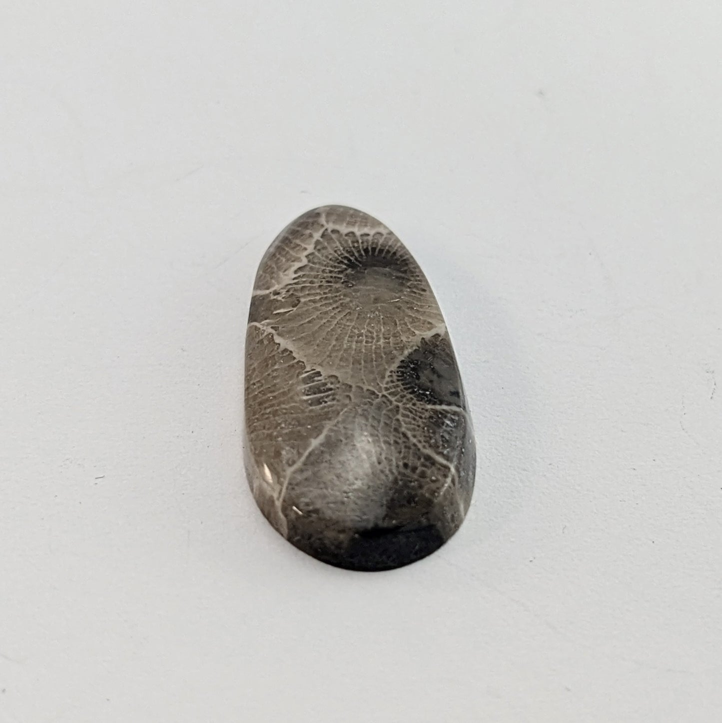 Petoskey Stone Freeform Cabochon #4