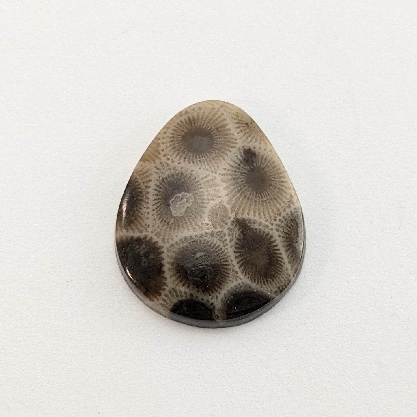 Petoskey Stone Freeform Cabochon #3