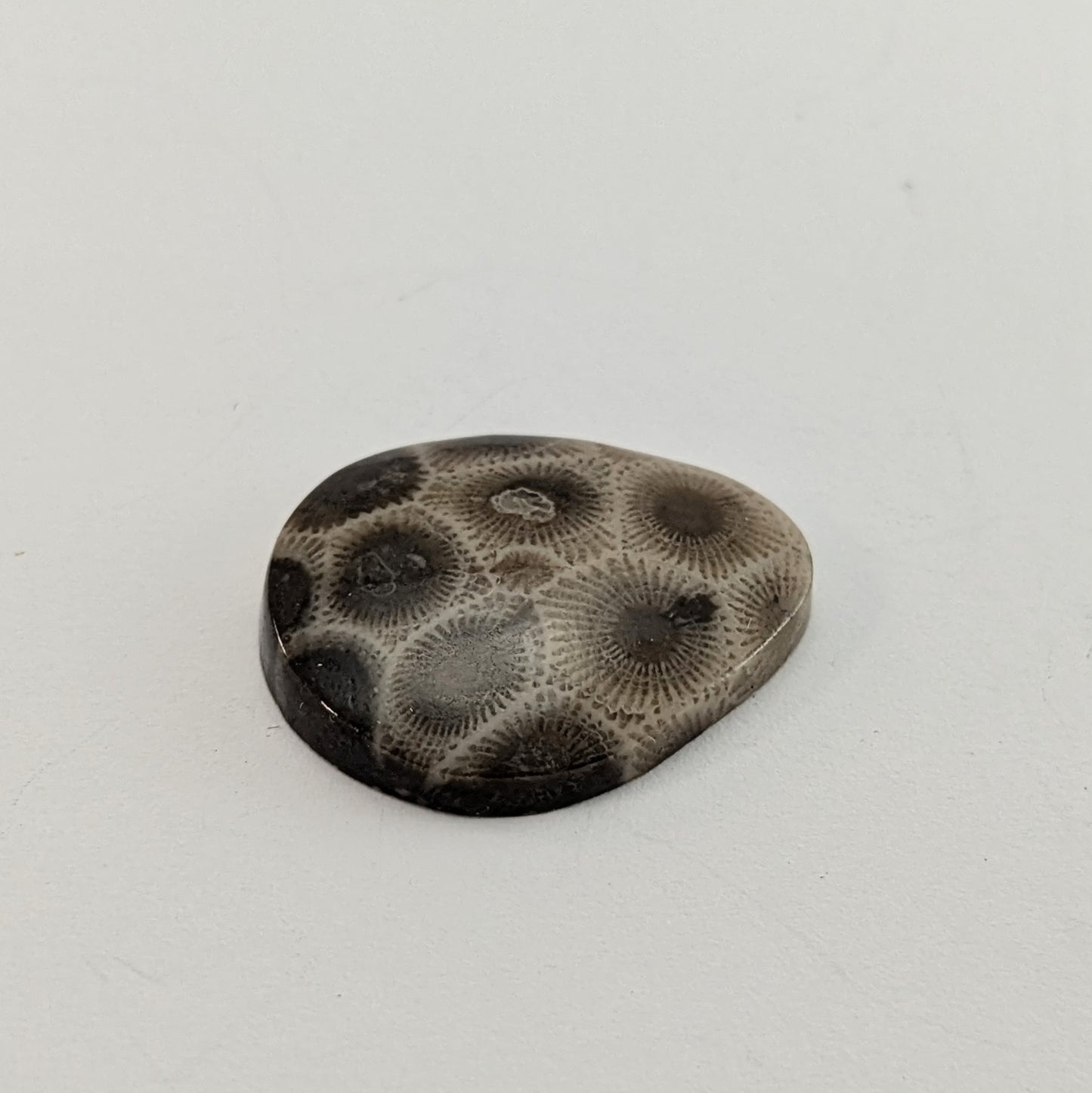 Petoskey Stone Freeform Cabochon #3