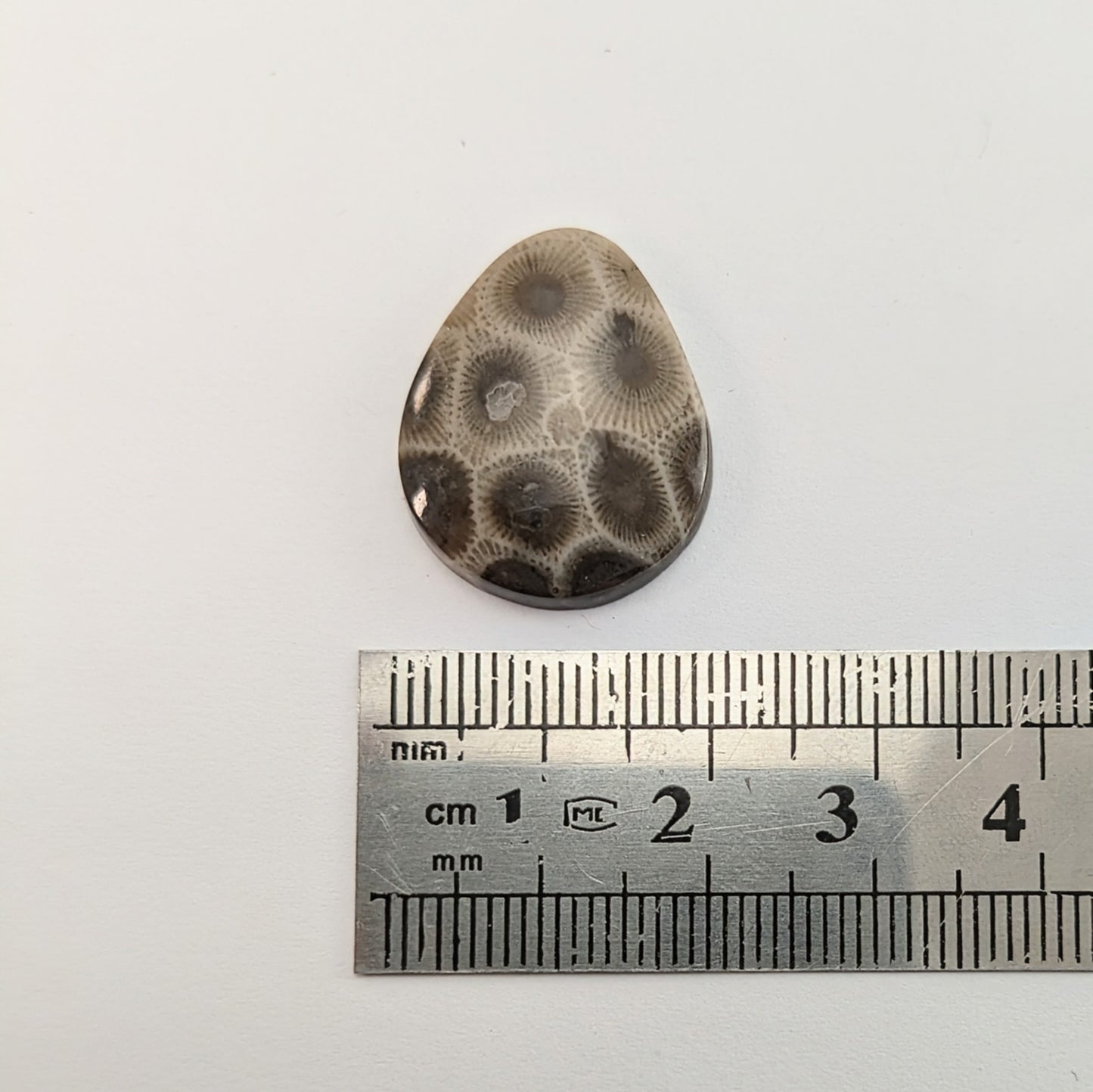 Petoskey Stone Freeform Cabochon #3