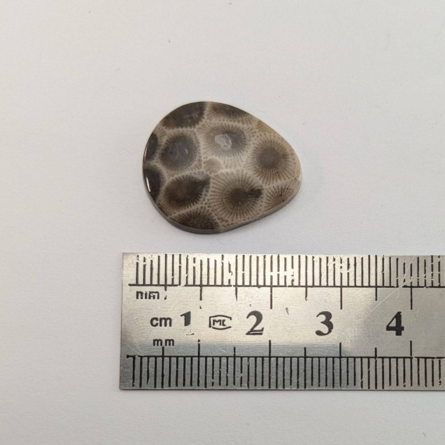 Petoskey Stone Freeform Cabochon #3