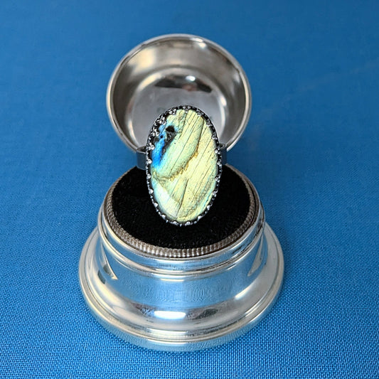 Labradorite Ring No.3 - size 9