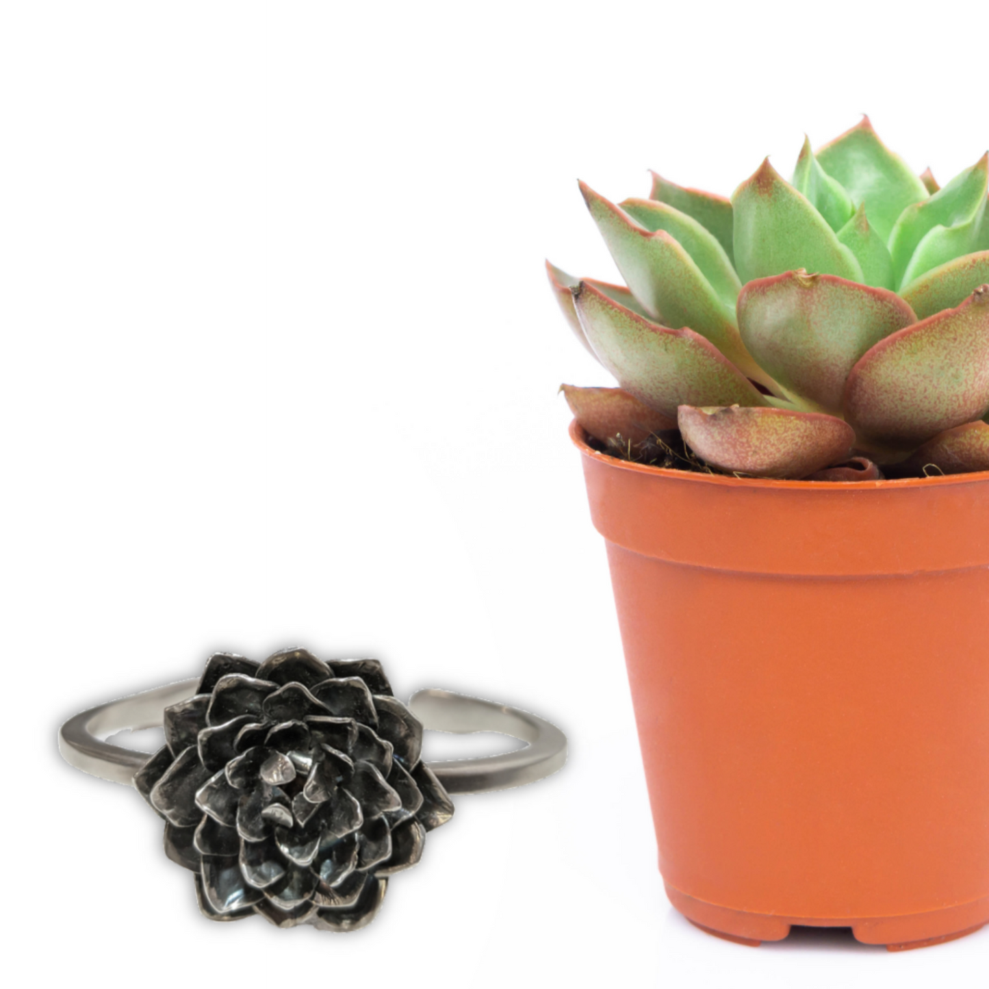 Succulent Cuff Bracelet